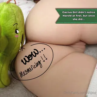 zipos leaked video, frame 2