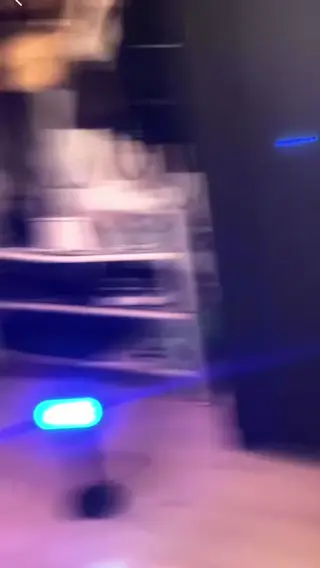 zira leaked video, frame 4