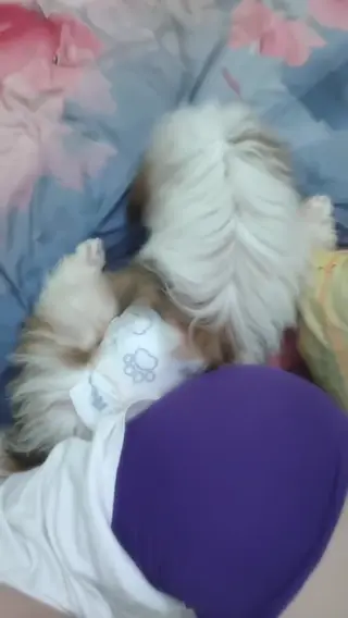 zura_kyy leaked video preview